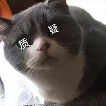 治愈人的猫咪图片合集（盘点抖音最火的猫猫头像）