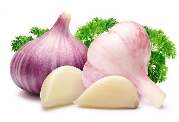 狗狗能吃巧克力吗（详解：狗狗的10大禁忌食物）