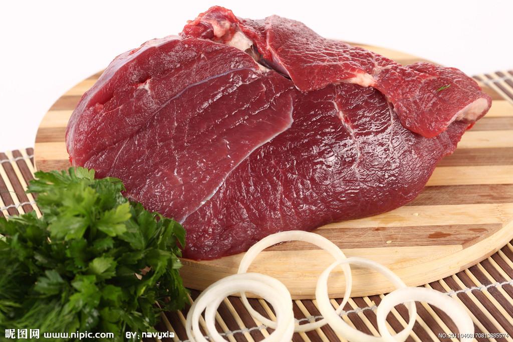 狗的饮食禁忌大全(狗狗不能吃的食物有哪些)