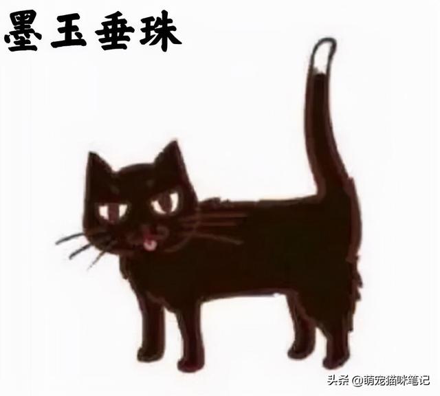 小猫拉稀能自愈吗(一个月小猫拉稀能自愈吗)