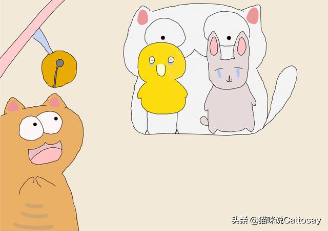 猫铃铛对猫有什么影响