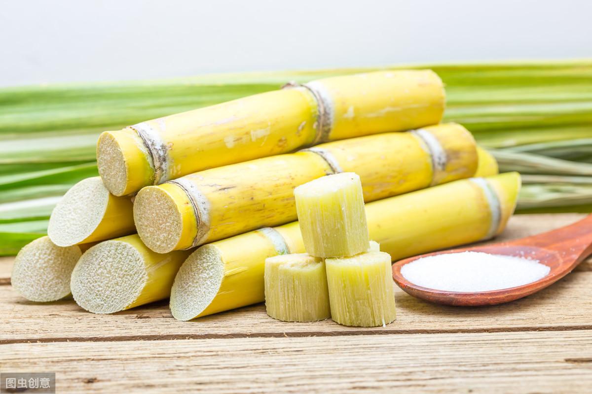 猫能吃芒果吗（了解猫咪10大禁忌水果）