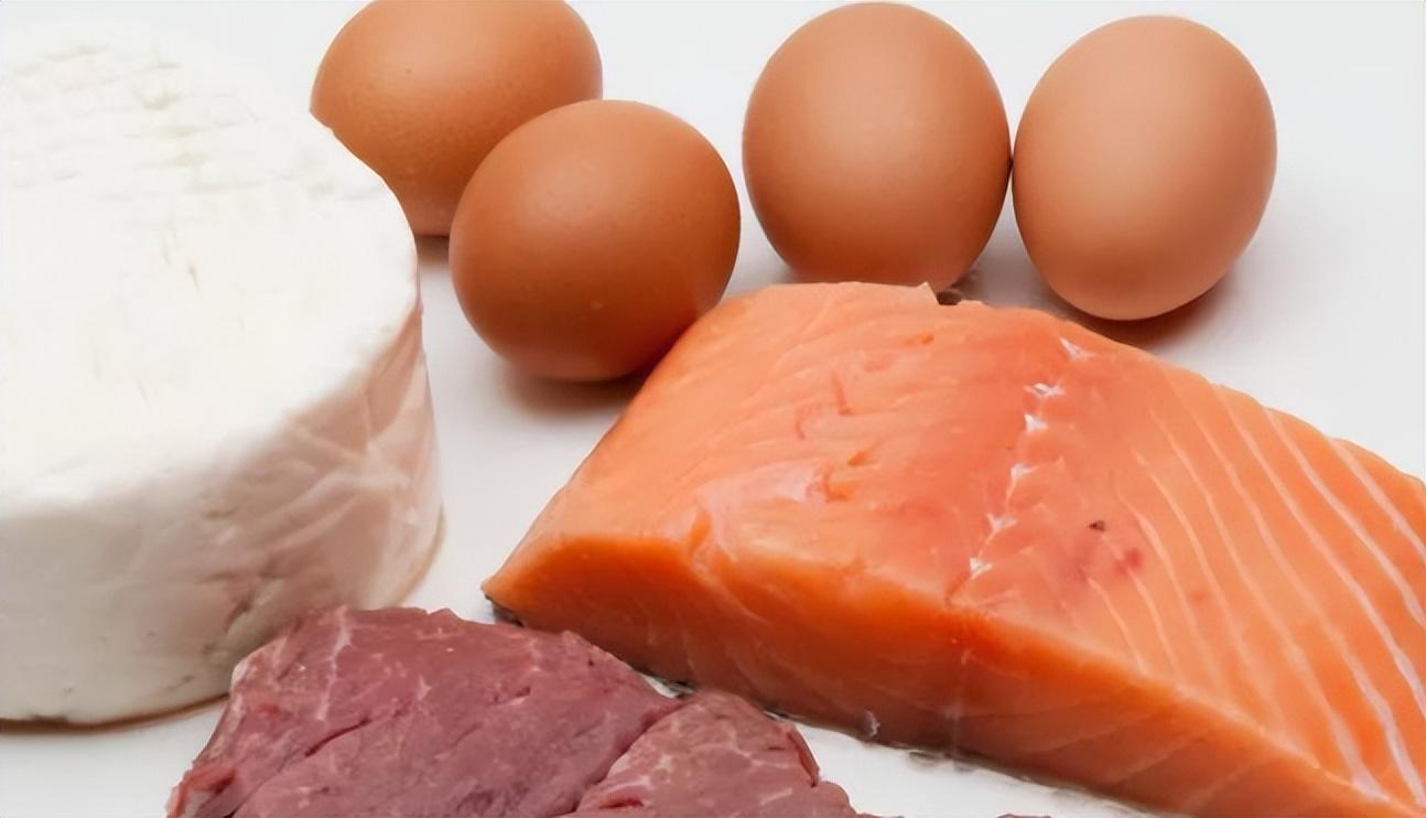 了解猫粮每日食用量（猫咪一天吃多少猫粮合适）