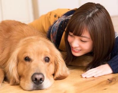 狗狗发情前有什么征兆（狗狗发情如何鉴定）