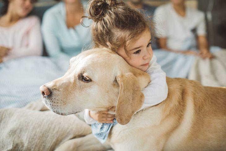 犬类高智商排名一览表（详解：中国最厉害的几种犬）