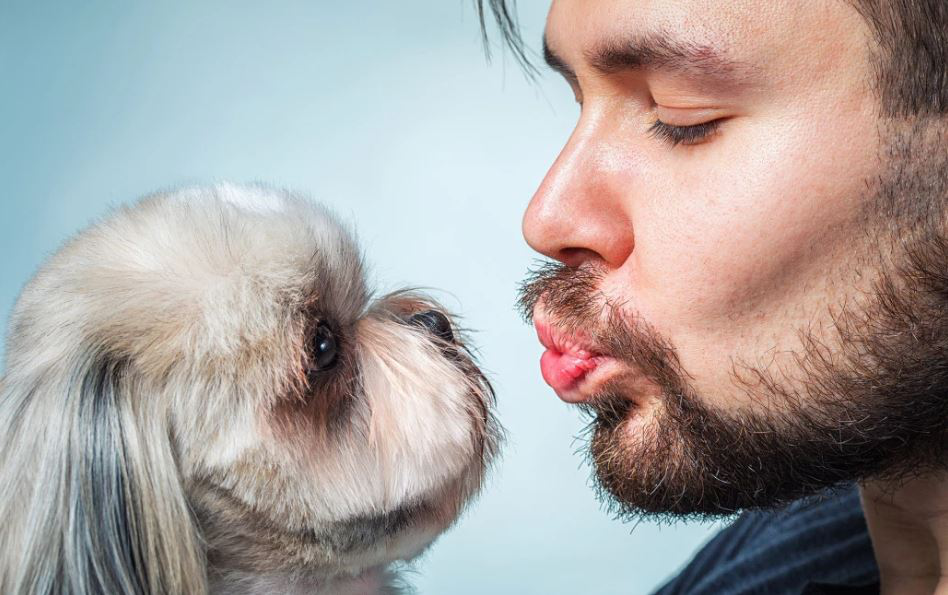 狗的口水有毒吗（附：宠物的口水也许和你想的不太一样）