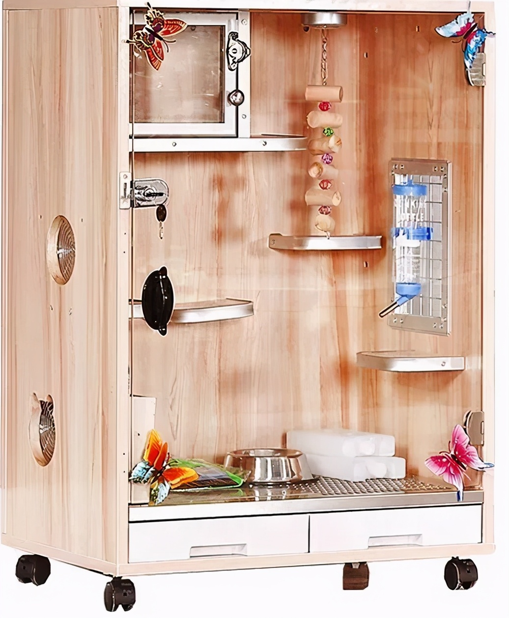 龙猫属什么科动物呢（详解：龙猫是啮齿类动物吗）