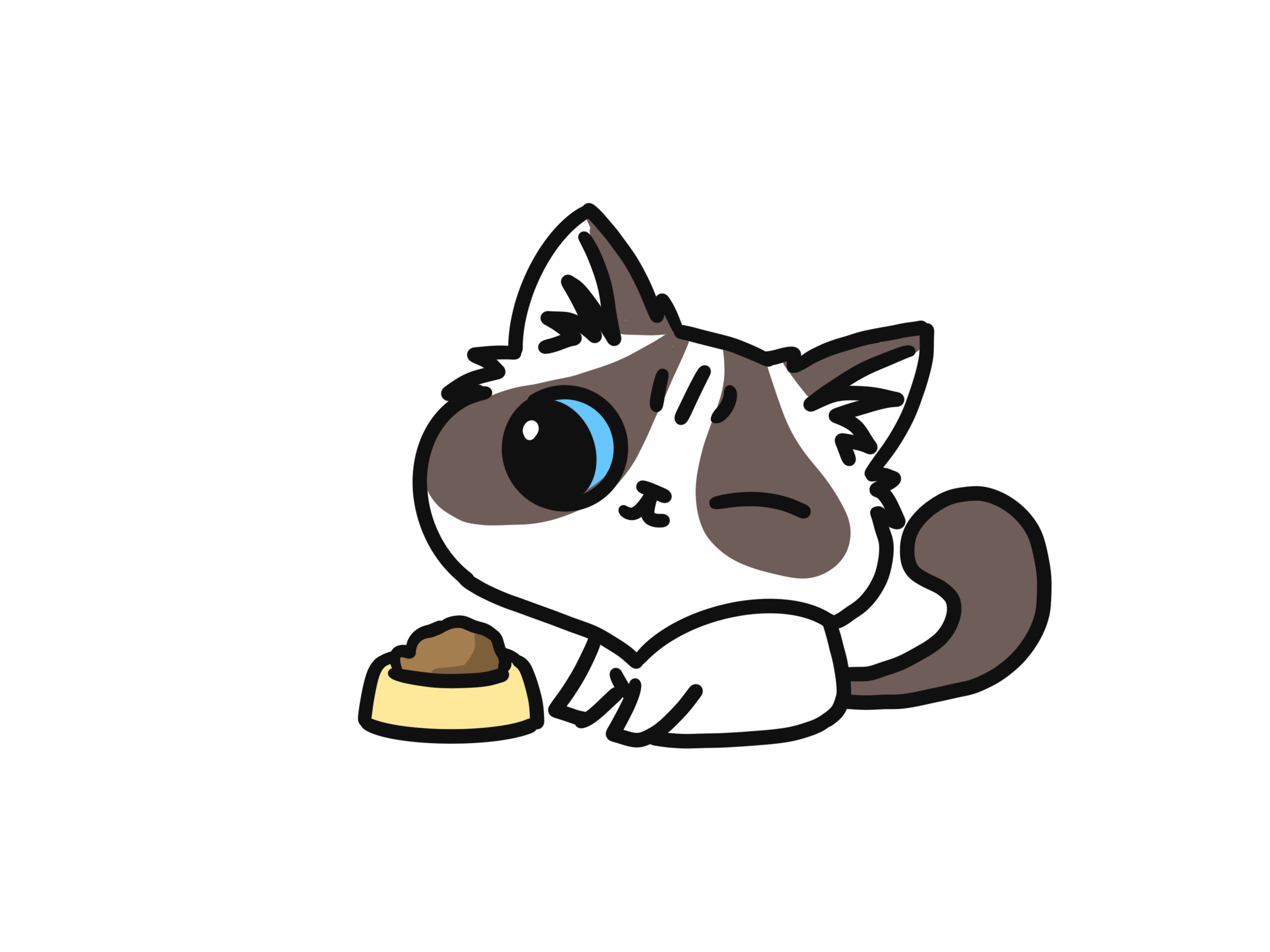 公猫体重多少斤才能绝育（6个月以上且体重在六斤以上才可绝育）