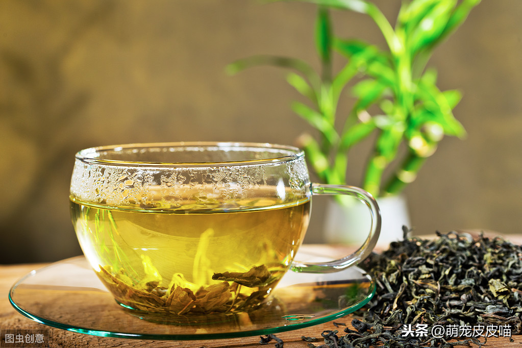 俩月小猫无征兆离世的原因（附：幼猫正常吃喝离奇死亡）