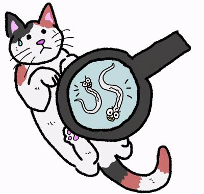 小猫驱虫怎么做（猫咪驱虫详细教程）