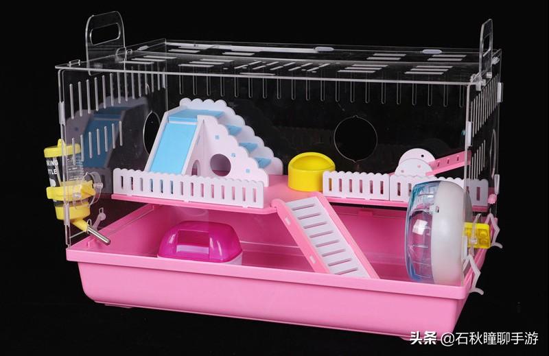 仓鼠会嫌弃笼子小而生气吗(详解:让仓鼠感到舒服的动作)