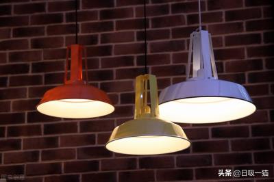 猫剪指甲出血了怎么办（手把手教你如何给猫咪剪指甲）