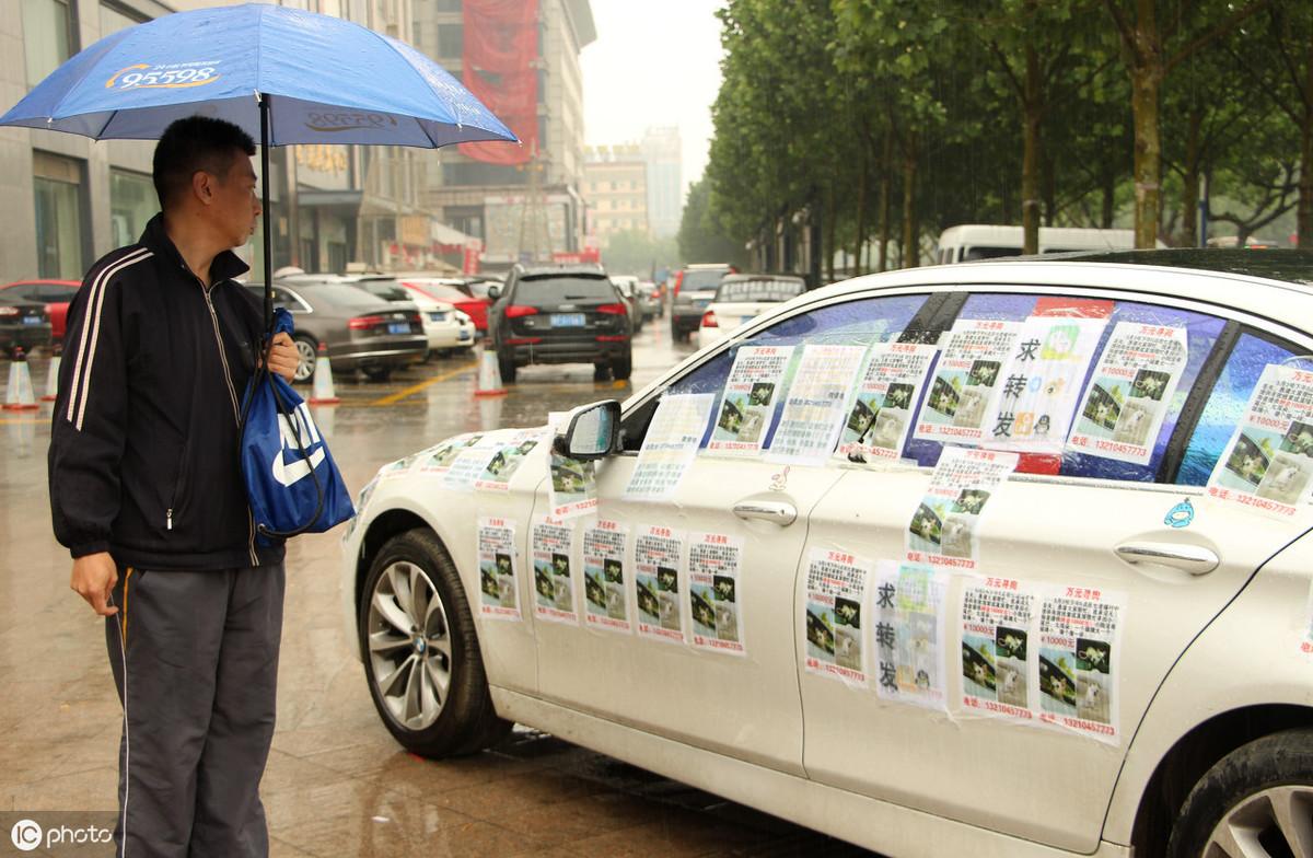 拉布拉多丢了千万别去找(拉布拉多丢了有效找回技巧)