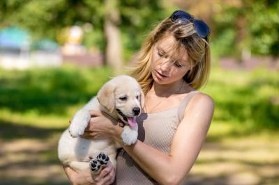 主人一定要注意：狗狗死后的七天要注意什么