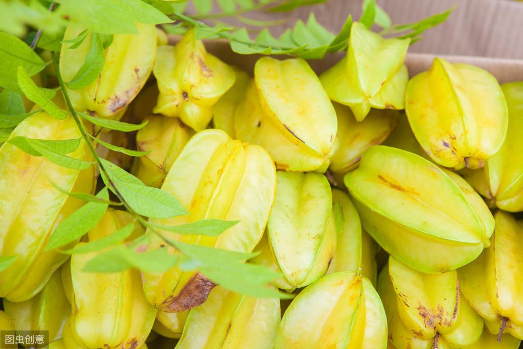 猫能吃芒果吗（了解猫咪10大禁忌水果）