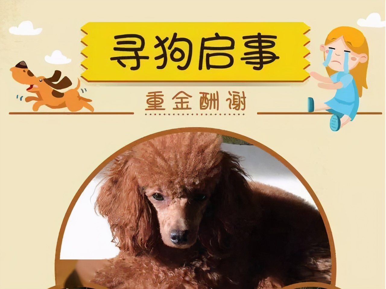 寻找狗很灵验的方法（附：农村狗丢了找回来的土方法）