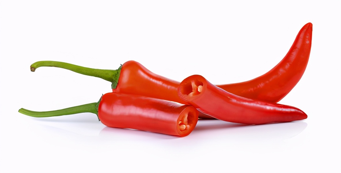 狗最怕一闻就跑哪种气味呢（附：驱赶狗随地拉的小妙招）