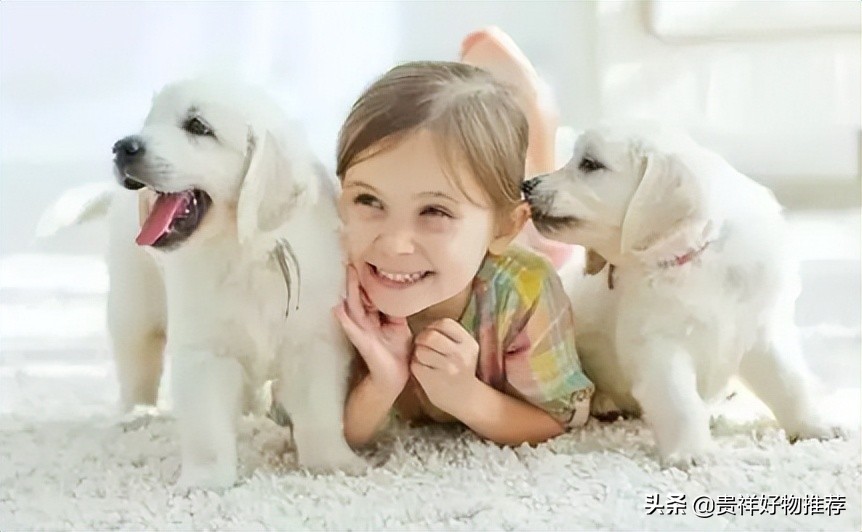 人狗混居人最容易得什么病