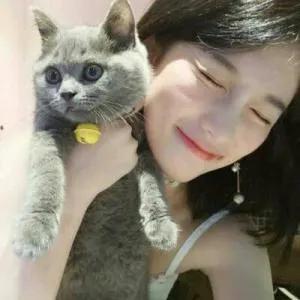 吸猫到底是对猫干嘛(吸猫是对猫做什么)