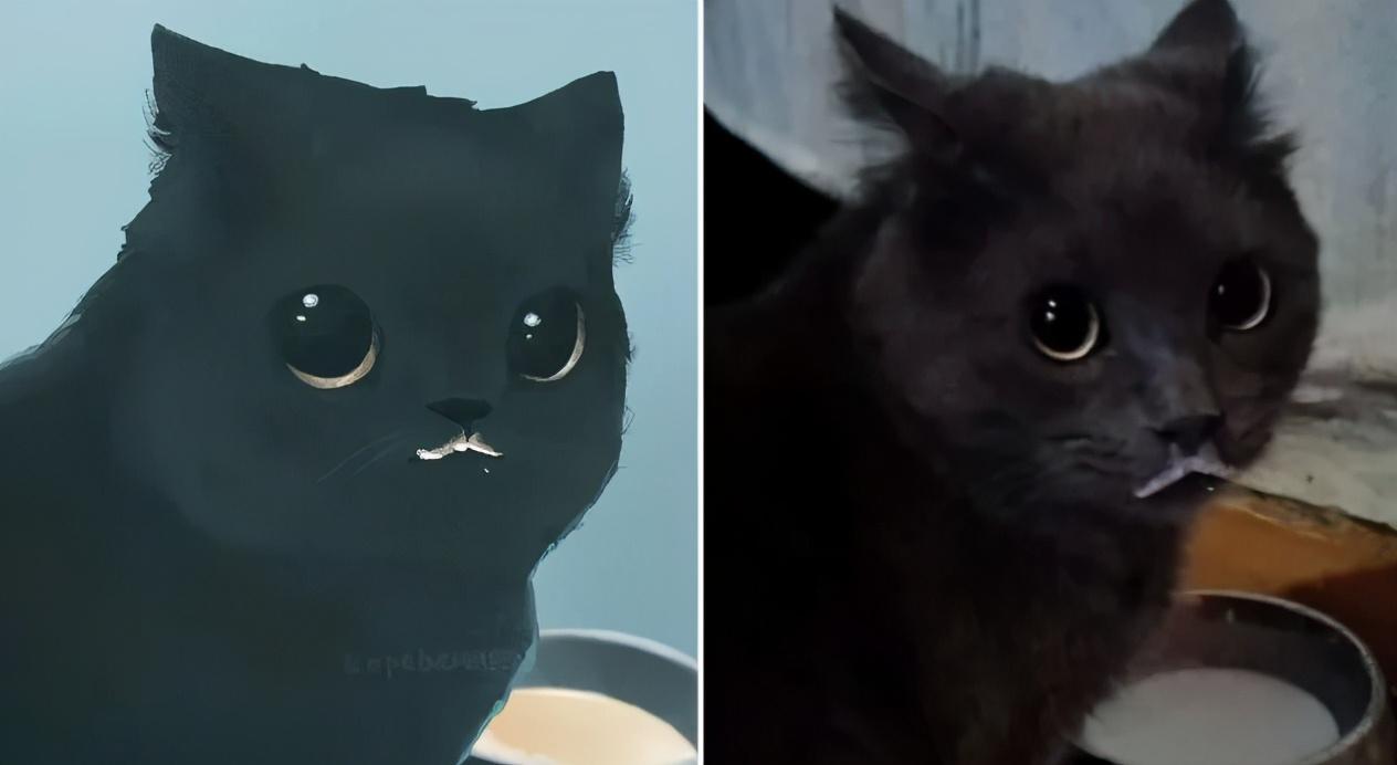 治愈人的猫咪图片合集（盘点抖音最火的猫猫头像）