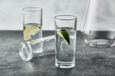 狗狗拉稀吃什么食物好(狗狗肠胃不好拉稀怎么调理才好)