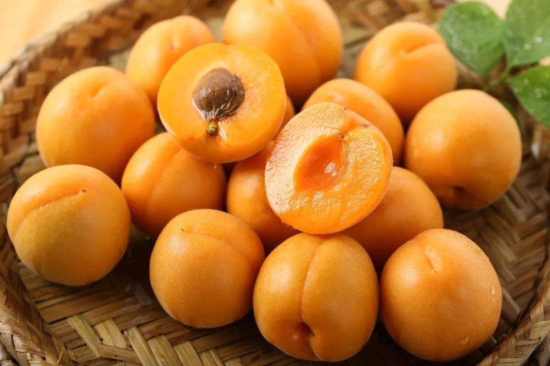 了解狗狗不能吃的水果（狗狗能吃香蕉吗）