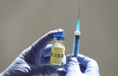 打了狂犬疫苗的狗咬人后要打针吗