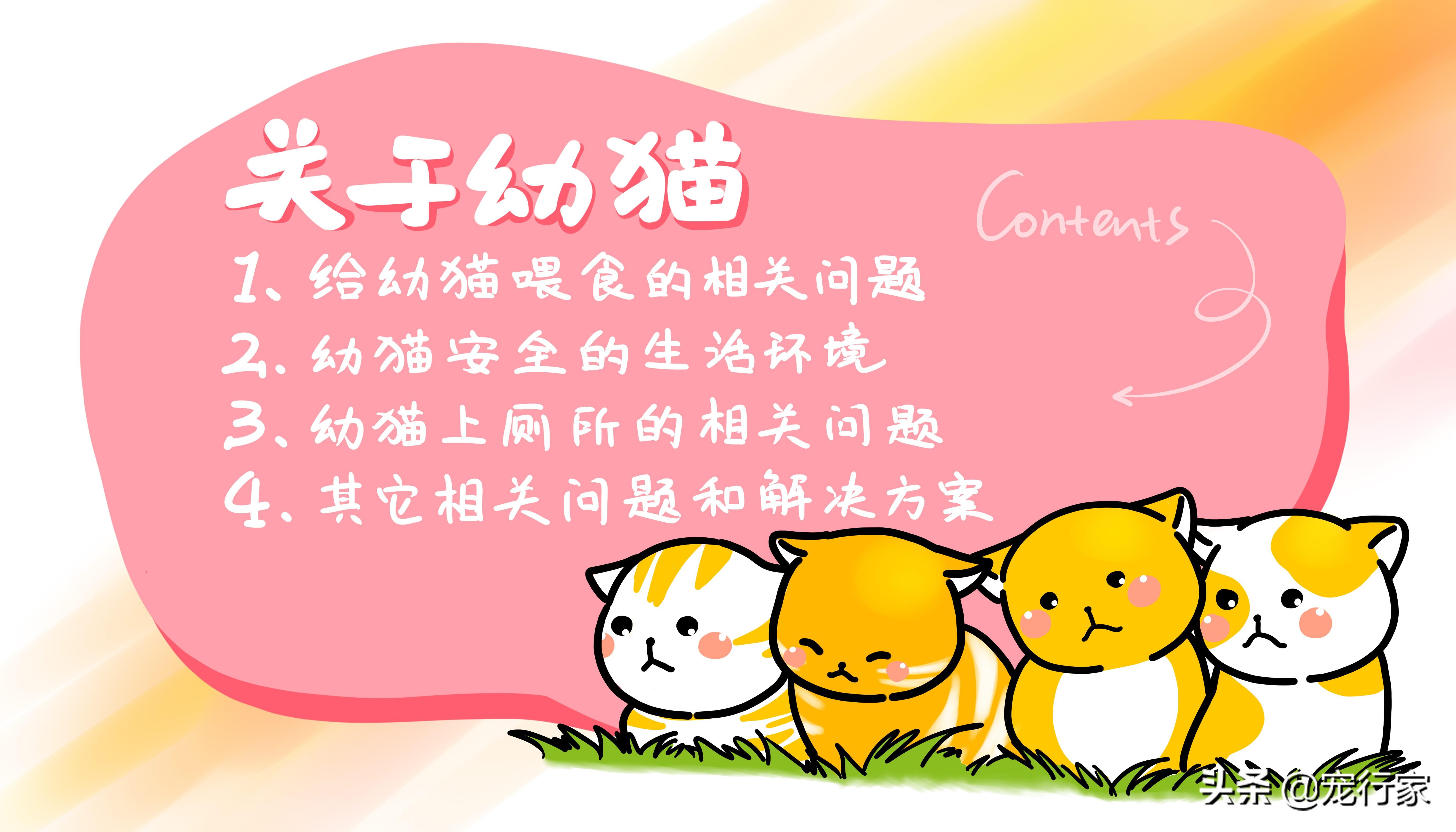 10天小猫没妈妈怎么养（15天左右小猫怎么喂能养活吗）