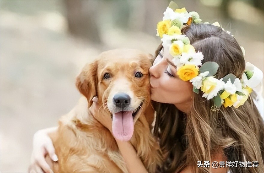 人狗混居人最容易得什么病(附:长期养狗衣服上会有寄生虫吗)