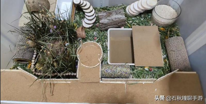 仓鼠会嫌弃笼子小而生气吗(详解:让仓鼠感到舒服的动作)