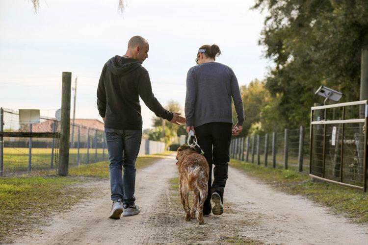 刚买的小狗怎么训练(详解:幼犬训练教程)