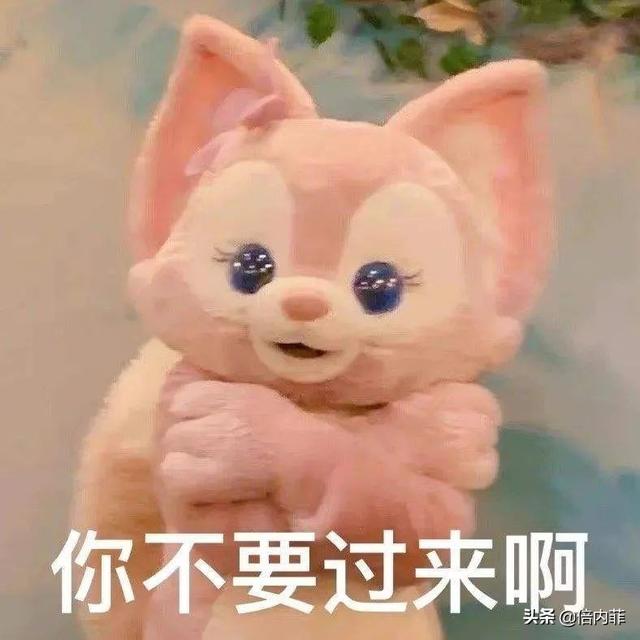 猫咪肛门腺怎么挤(猫咪肛门腺怎么挤出来)