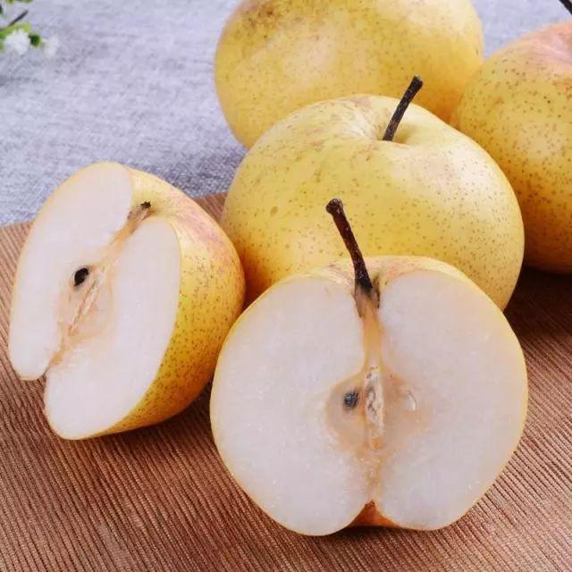 狗狗能吃巧克力吗（详解：狗狗的10大禁忌食物）