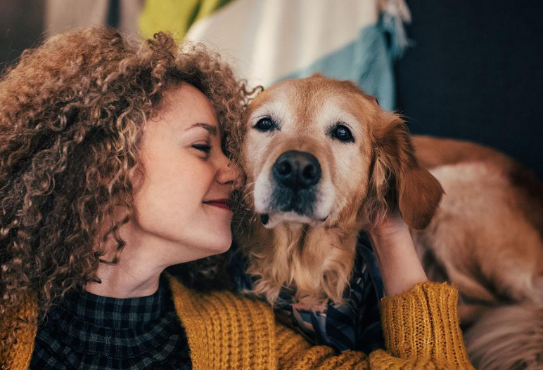 如何养狗狗（新手铲屎官入门必备攻略）