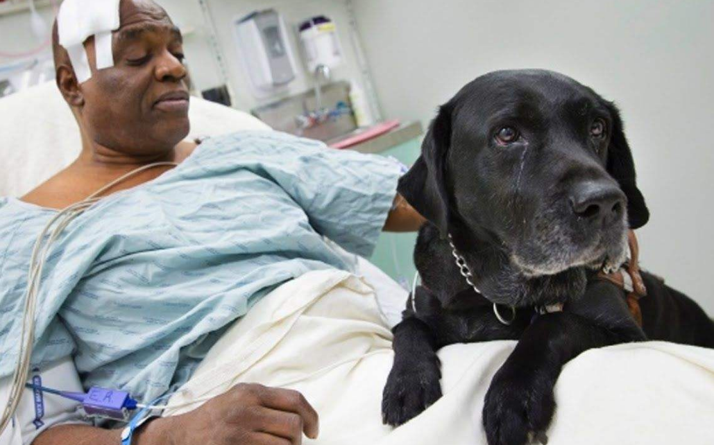 狗狗闻到主人来月经会怎样（会闻并检查主人身体状况等）