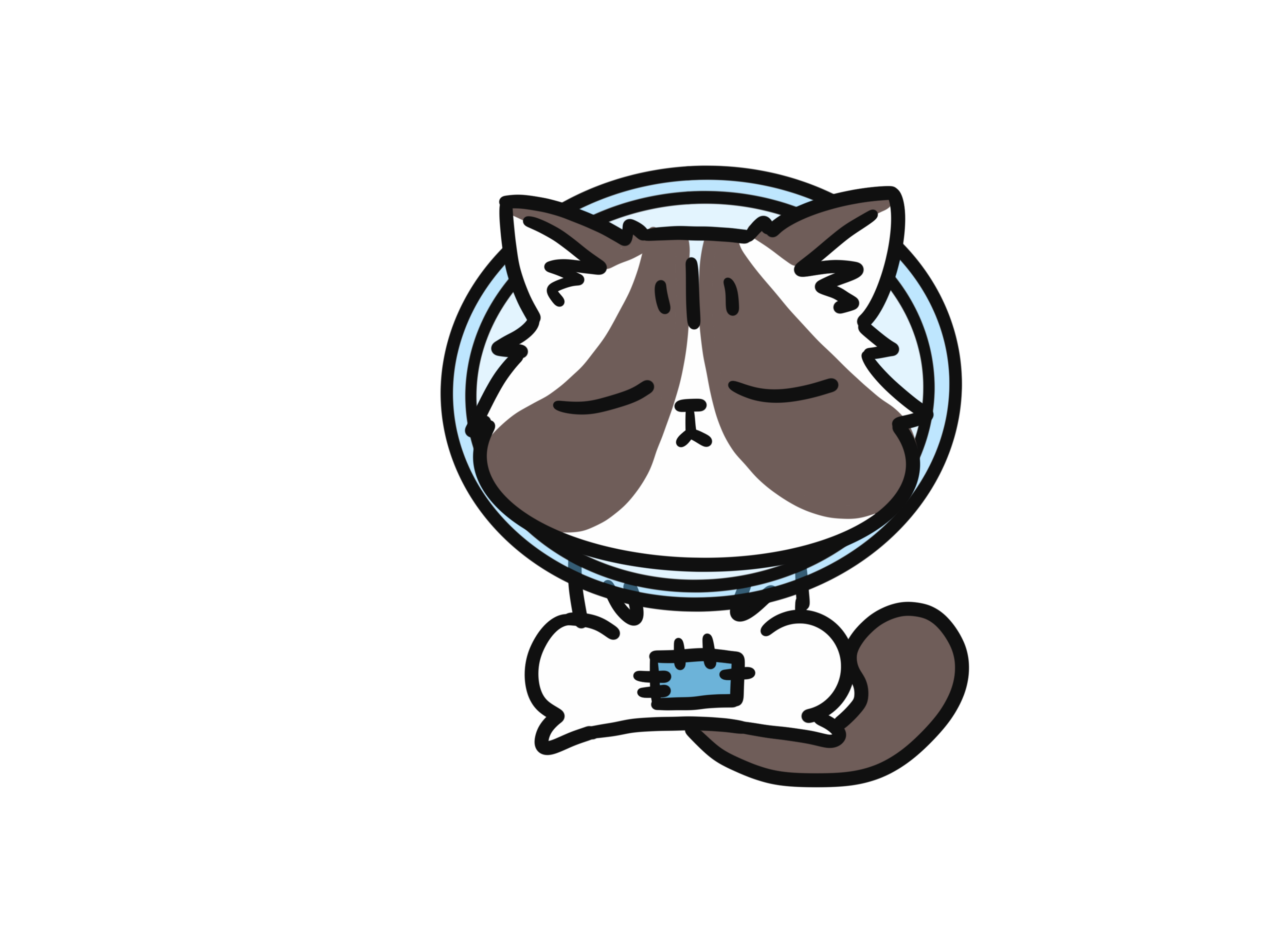 公猫体重多少斤才能绝育（6个月以上且体重在六斤以上才可绝育）