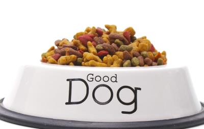 狗狗流鼻涕吃什么药好得快(泰迪狗流鼻涕吃什么药)