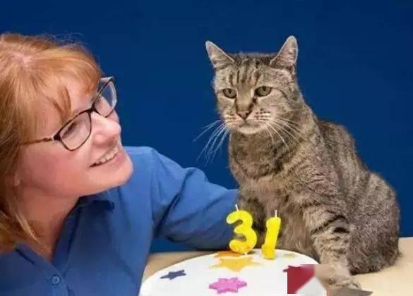 母猫不做绝育会怎么样(母猫不做绝育能活多久)