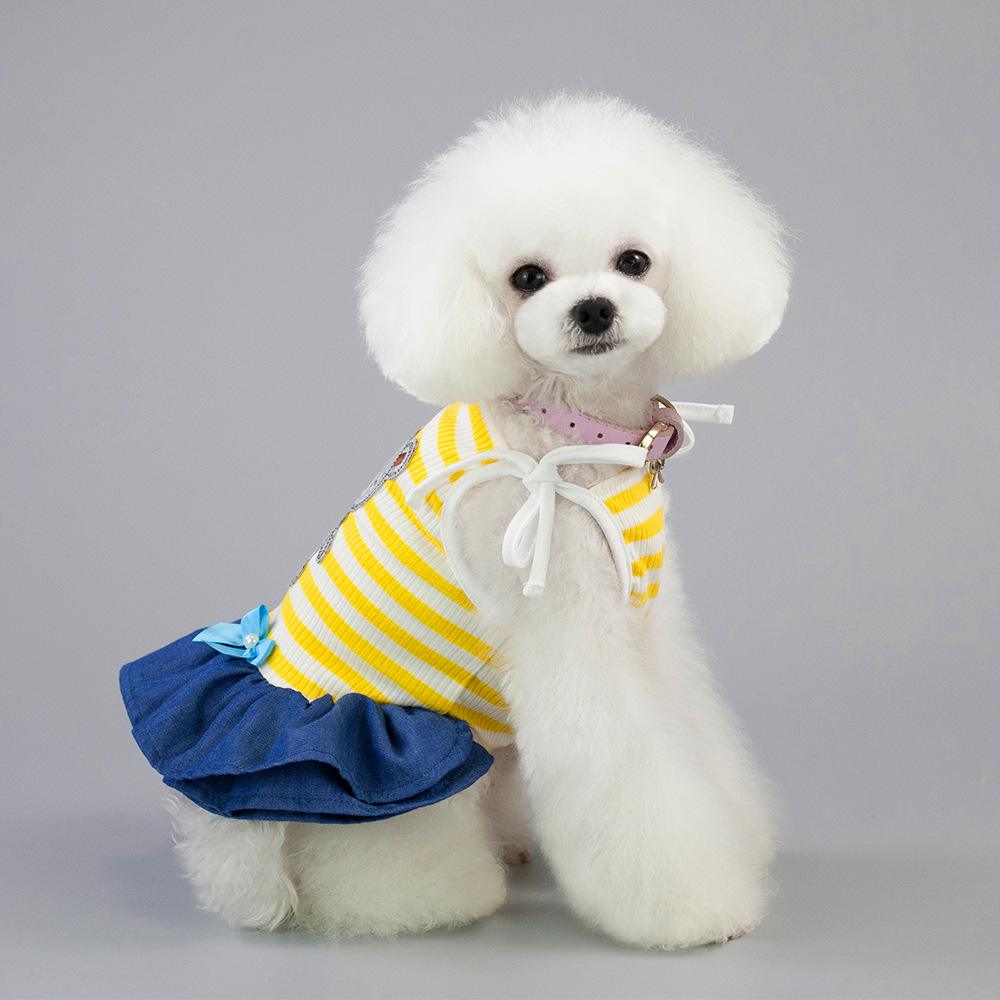 最值得养的小型犬推荐（家养的小型犬有哪些）