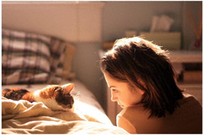 猫知道自己换主人了吗（附：猫有长期记忆及短期记忆）