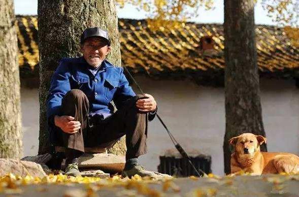 狗狗去世前的10天表现（附：狗狗不行时有哪些异常征兆）