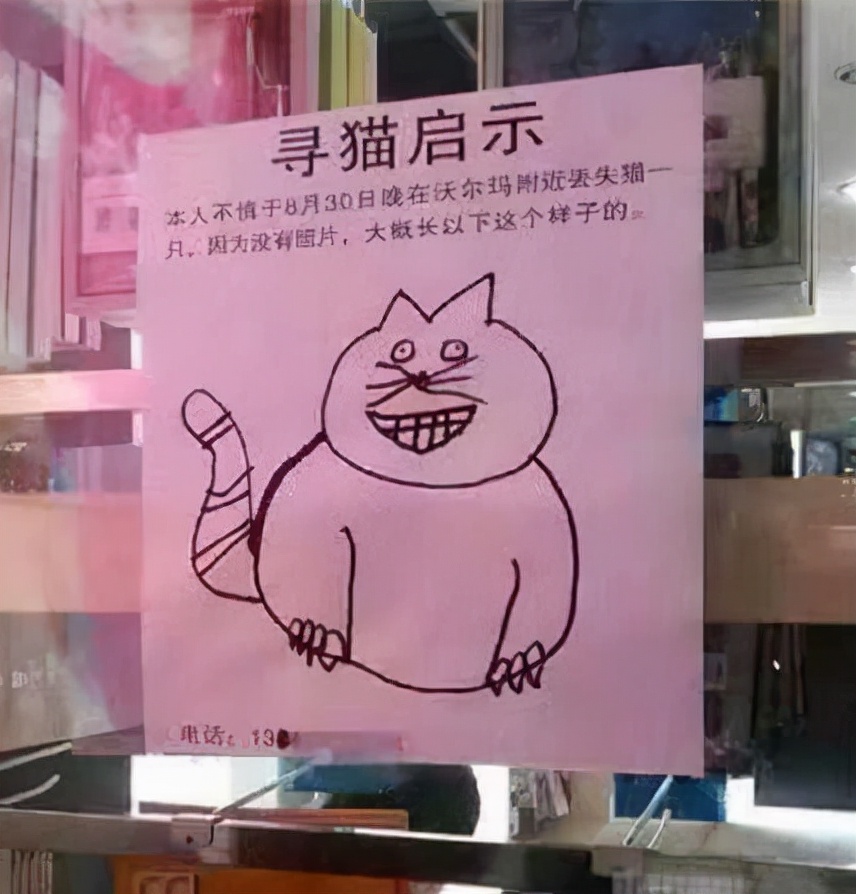 猫咪为何在家莫名其妙的消失