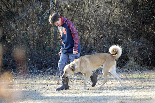 刚买的小狗怎么训练