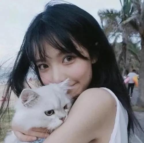 吸猫到底是对猫干嘛(吸猫是对猫做什么)