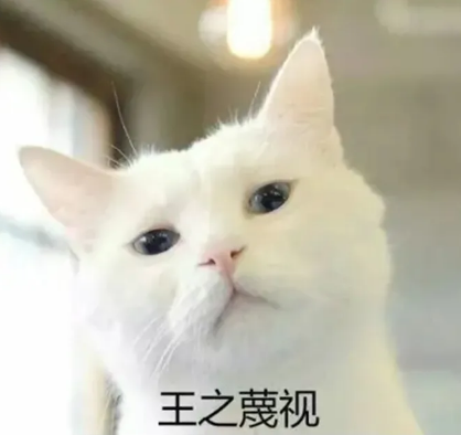 猫为什么喜欢睡床尾(猫为什么喜欢睡床尾边)