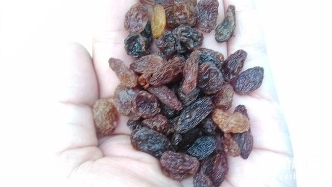 猫可以吃面包吗（附：宠物猫的饮食禁忌）