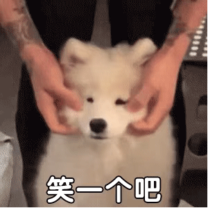 治愈人的猫咪图片合集（盘点抖音最火的猫猫头像）