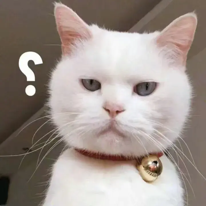 了解猫咪绝不能吃的食物(猫能吃火腿肠吗)