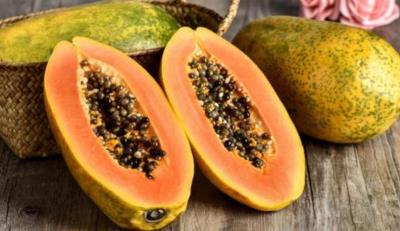 狗狗可以吃玉米吗（狗狗可以吃的15种人类食物）