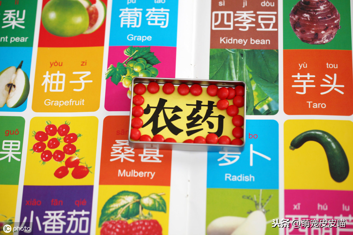 俩月小猫无征兆离世的原因（附：幼猫正常吃喝离奇死亡）